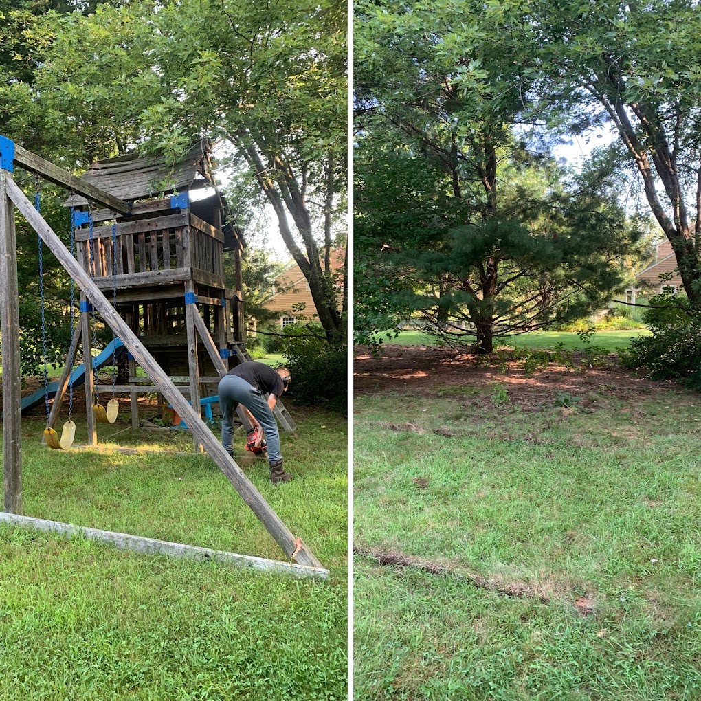 Swing set removal — CDA